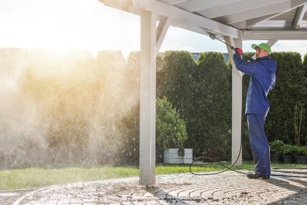 Animal Enclosure Cleaning in Kingston Estates, NJ